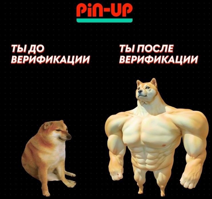 Pin Up Games: licensed online club with real money gaming